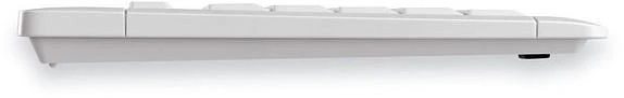 Cherry eVolution Stream XT, grau, PS/2 & USB, EU