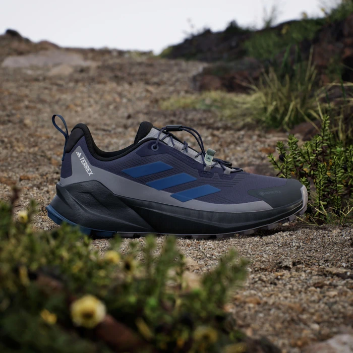 adidas Terrex Trailmaker 2 GTX Speed Lace shadow navy/wonder steel/grey three (Herren)