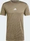 adidas Gym+ Training Seamless Funktionsshirt kurzarm olive strata/shadow olive (Herren) Vorschaubild