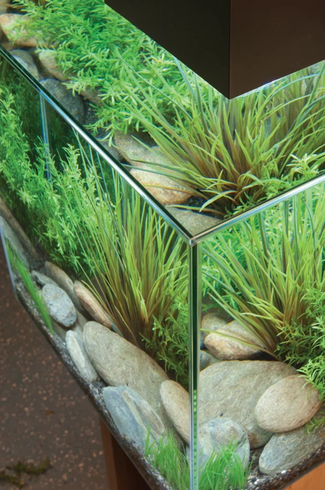 Fluval Edge 2.0 Aquarium-Set, schwarz, 23l