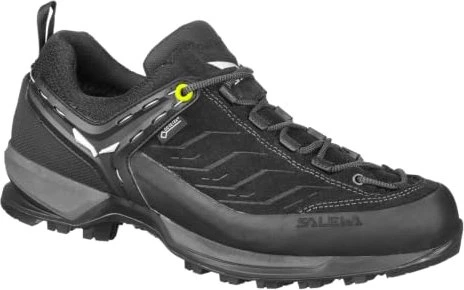 Salewa Mountain Trainer GTX (Herren)