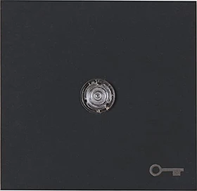 Kopp HK07 Flächenwippe mit Linse und Symbol Schlüssel, anthrazit
