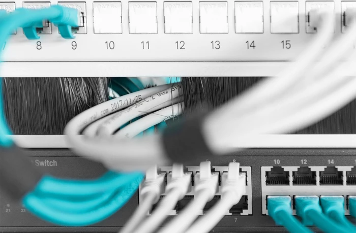 Digitus Bürstenleiste für 19" Schränke, RAL 7035, 1HE