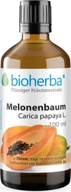 Bioherba Melonenbaum Carica papaya L. Tropfen Tinktur, 50ml