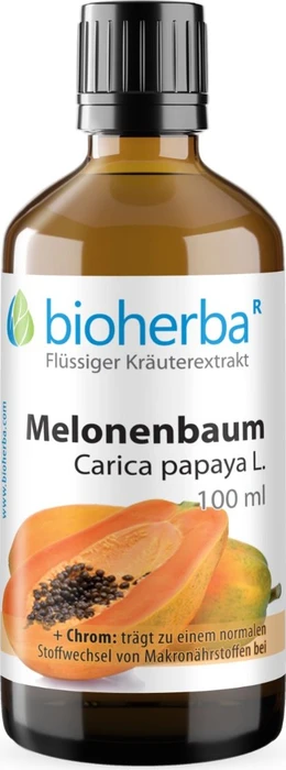 Bioherba Melonenbaum Carica papaya L. Tropfen Tinktur, 50ml