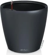 Lechuza Classico Color LS 21