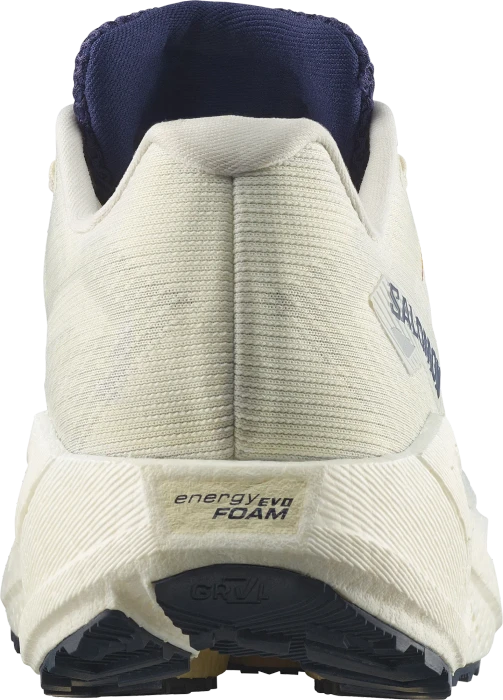 Salomon Aero Blaze 3 Grvl GTX vanilla ice/astra aura/lemon (Herren)