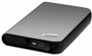Western Digital WD My Passport Essential SE silber 1TB, USB 2.0