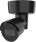 Axis M2036-LE schwarz Vorschaubild