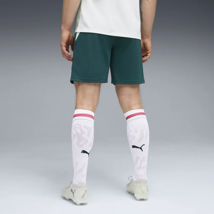 Puma FIFA WM 2026 Österreich Auswärtsshorts (Herren)