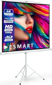 eSmart Economy EXM Motor-Leinwand 240x135cm