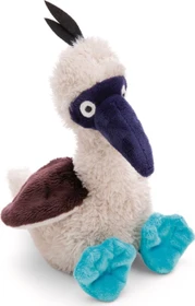 Nici Blaufußtölpel Sula 35cm