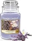 Yankee Candle Vanilla Duftkerze Vorschaubild
