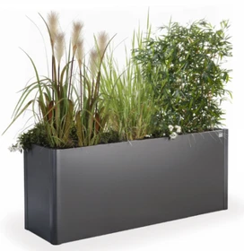 Biohort Pflanzbeet Belvedere 50Mini Hochbeet 53x53cm dunkelgrau-metallic