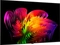 LG OLED evo AI W6 OLED77W69LA Vorschaubild