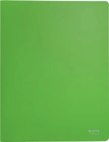 Leitz Sichtbuch Recycle, A4, grün, inkl. 40 Klarsichthüllen