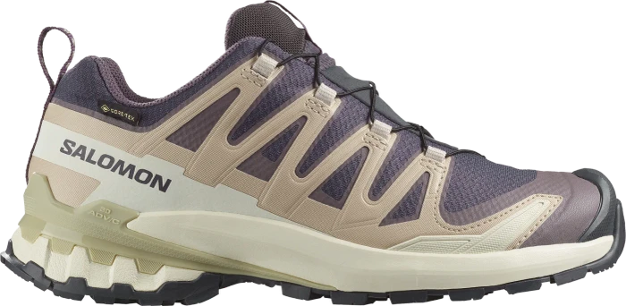 Salomon XA Pro 3D V9 GTX grisaille/tradewinds/spellbound (Damen)