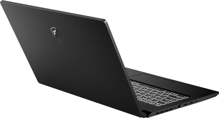 MSI Creator 17 B11UG-443, Core Black, Core i7-11800H, 32GB RAM, 1TB SSD, GeForce RTX 3070, DE