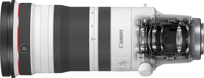 Canon RF 100-300mm 2.8 L IS USM