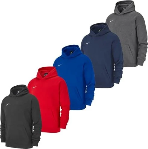 Nike Park 20 Hoodie (Junior)