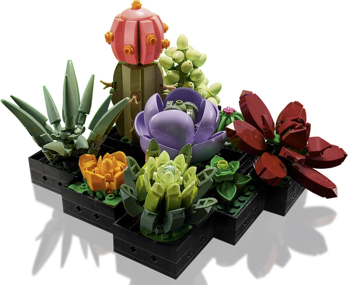 LEGO Botanicals - Sukkulenten
