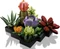 LEGO Botanicals - Sukkulenten Vorschaubild
