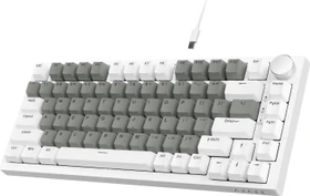 Ajazz AK820, White & Grey, LEDs weiß, hot-swap, AS YELLOW, USB, US