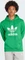 adidas Adicolor Classics Trefoil Hoodie grün (Herren) Vorschaubild