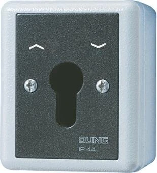 Jung WG 800 Schlüsselschalter 10A 250V