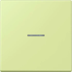 Jung HOME Taster 1-fach, vert jaune clair