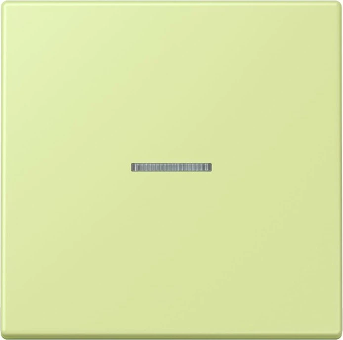 Jung HOME Taster 1-fach, vert jaune clair