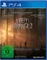 Life is Strange 2 Vorschaubild