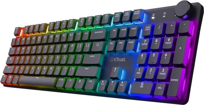 Trust Gaming GXT 866 Torix Wireless, schwarz, LEDs RGB, Huano WHITE, USB, DE