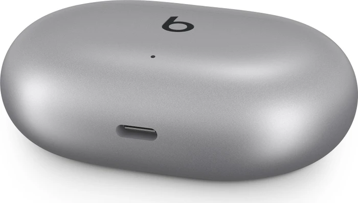 Apple Beats Studio Buds + silber
