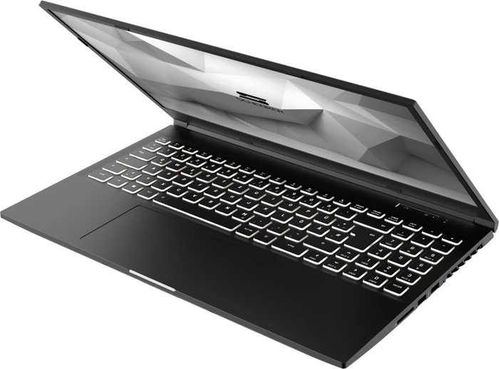 Schenker Media 15-E20vmn, Core i7-10750H, 32GB RAM, 1TB SSD, GeForce RTX 2060, DE