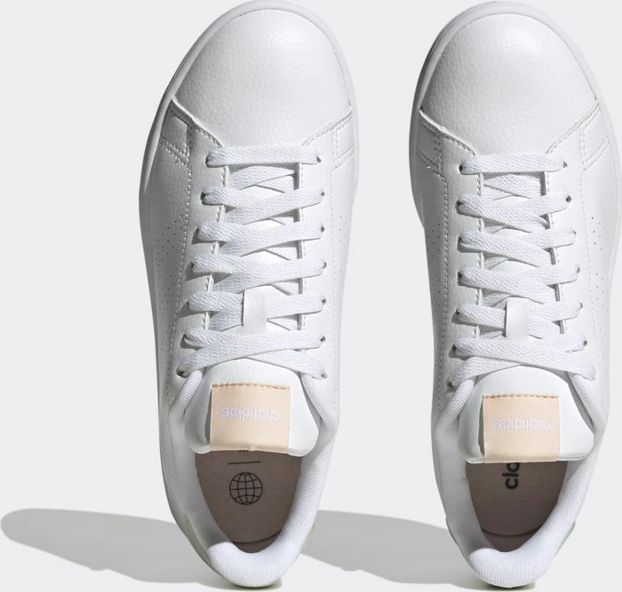 adidas Advantage cloud white/linen green
