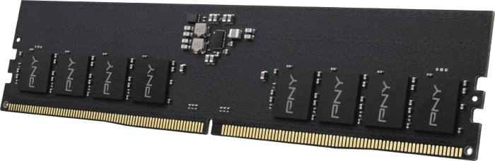 PNY Performance UDIMM 8GB, DDR5-5600, CL46, bulk