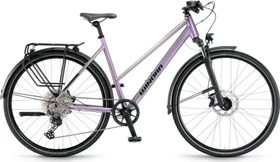 Winora Domingo 12 Pro chameleon (Damen)