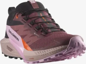 Salomon Sense Ride 5 GTX catawba grape/orchid bouquet/cherry tomato (Damen)