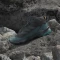 adidas Terrex Skychaser AX5 Mid GTX core black/carbon/pure teal (Herren) Vorschaubild