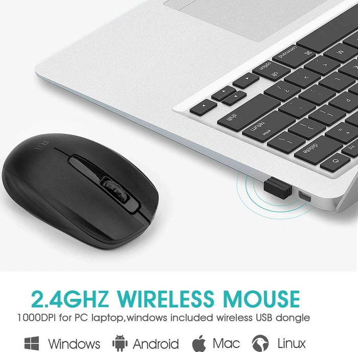 Riitek RM100+ Wireless Mouse schwarz, USB