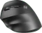 Natec Crake 2 Vertical Wireless Mouse schwarz, Linkshänder, USB/Bluetooth Vorschaubild