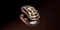 Pulsar Gaming Gears Feinmann F01 Wireless, Noctua Edition, beige/braun, USB Vorschaubild