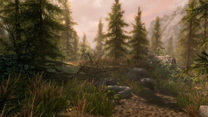 Elder Scrolls V: Skyrim - Special Edition (PS4)
