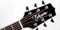 Takamine EF341SC Gloss Black Vorschaubild