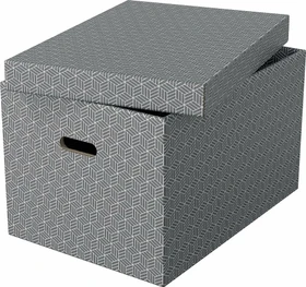 Esselte Home Storage Box Large Aufbewahrungsbox, grau, 3er-Pack