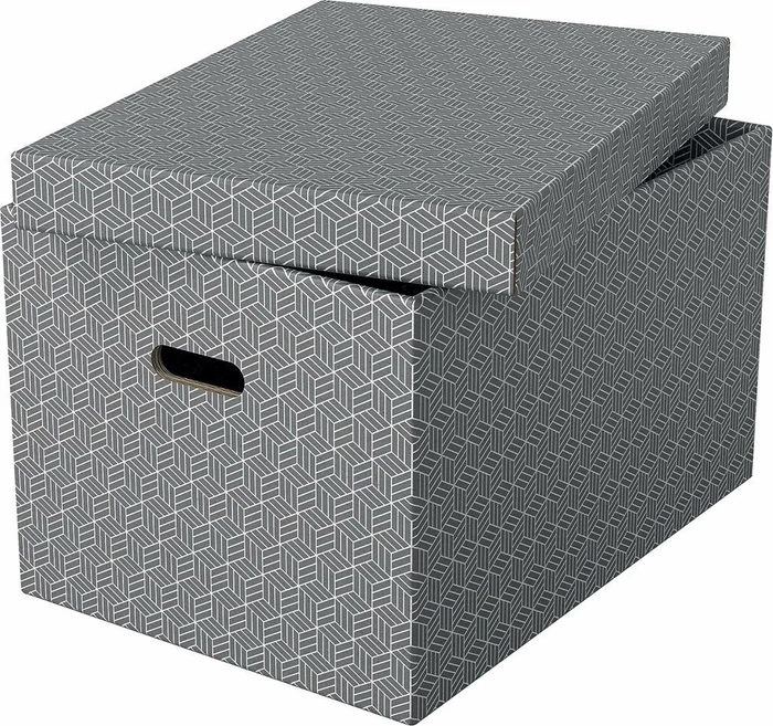 Esselte Home Storage Box Large Aufbewahrungsbox, grau, 3er-Pack