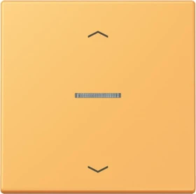 Jung HOME Taster 1-fach, ocre jaune clair