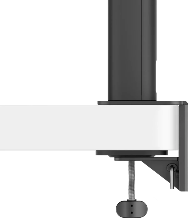 BenQ RD320UA, 31.5"