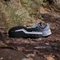 adidas Terrex Soulstride Flow dash grey/carbon/semi impact orange (Herren) Vorschaubild